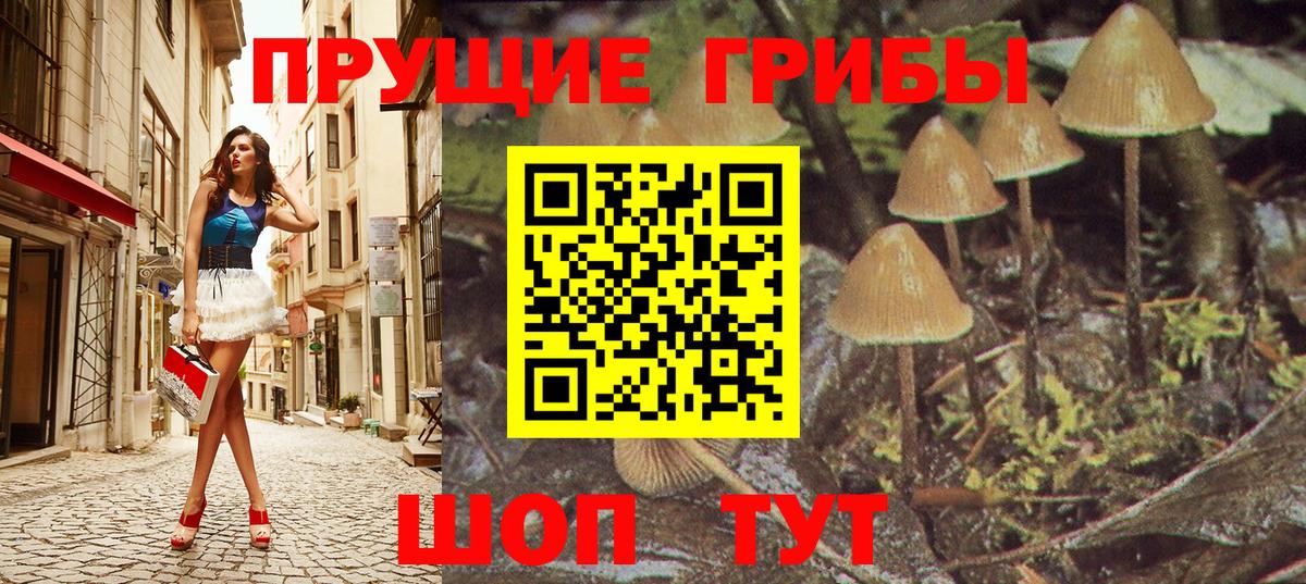 Галлюциногенные грибы Psilocybe Дюртюли